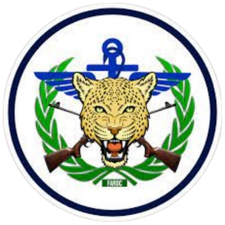 Fizi umusirikare mu gisirikare cya Fardc yishwe na bagenzi be bapfa umushahara we