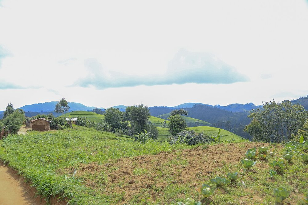 Gutanga ‘procurations’ muri serivisi z’ubutaka byahagaritswe